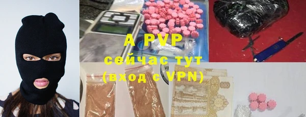 ПСИЛОЦИБИНОВЫЕ ГРИБЫ Волосово