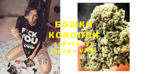 стафф Володарск