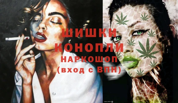 ПСИЛОЦИБИНОВЫЕ ГРИБЫ Волосово