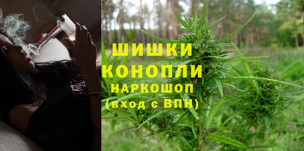 трава Верея