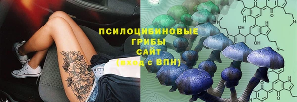ПСИЛОЦИБИНОВЫЕ ГРИБЫ Волосово