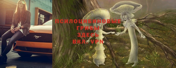 стафф Володарск