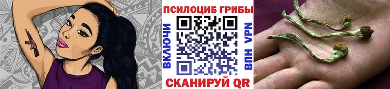Галлюциногенные грибы Psilocybine cubensis  Купить где  Велиж 